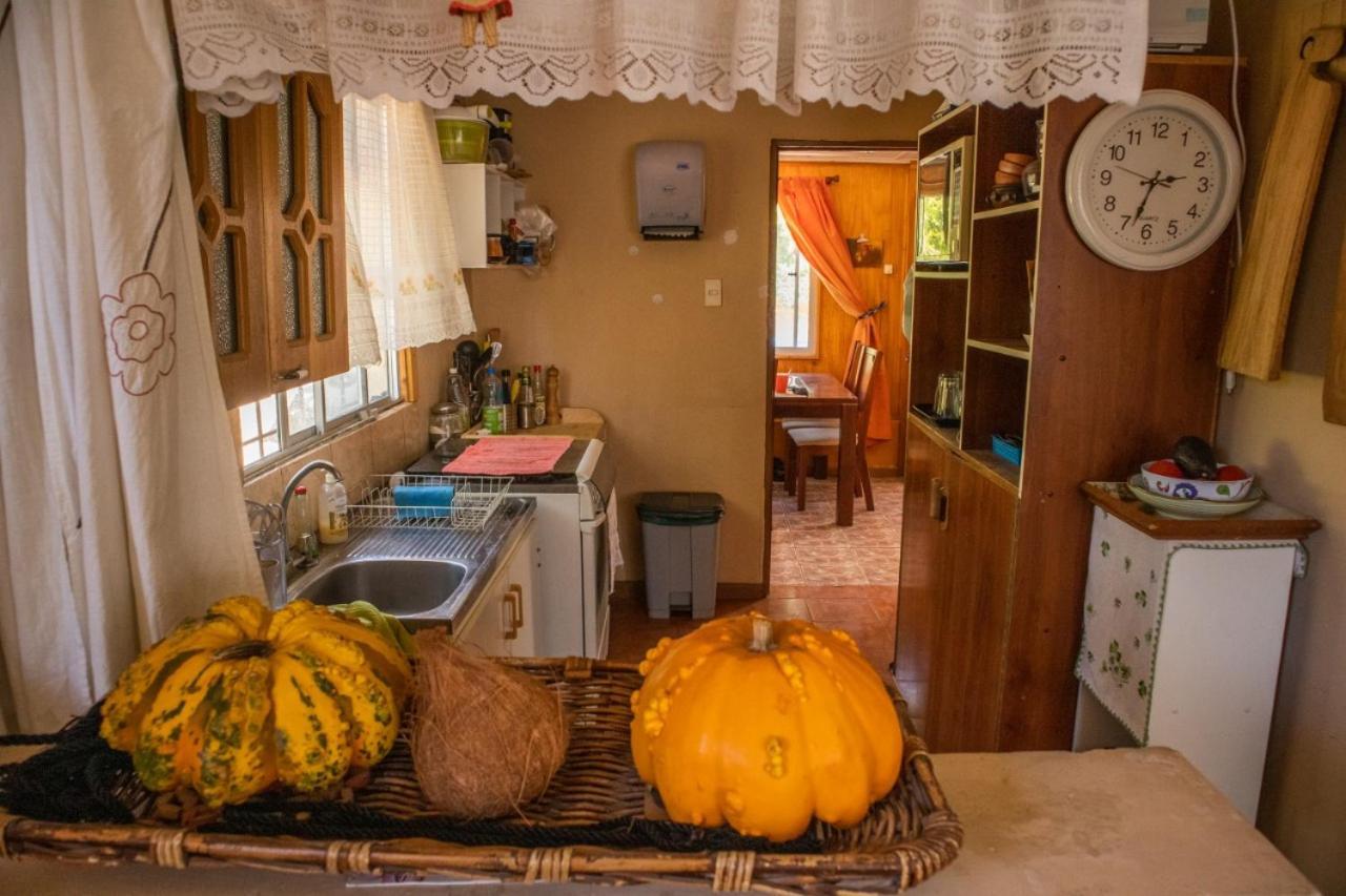 Appartement La Huerta à Vicuña Extérieur photo